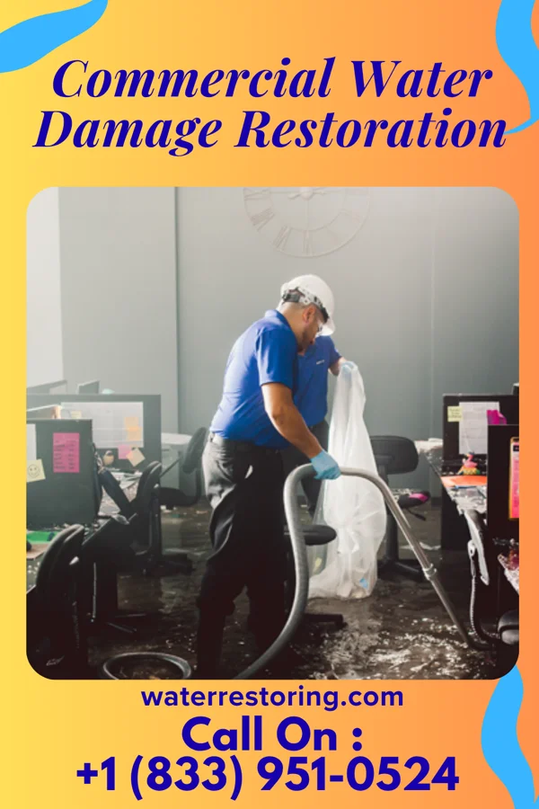 Commercial Water Damage Restoration in Cassville, WI
