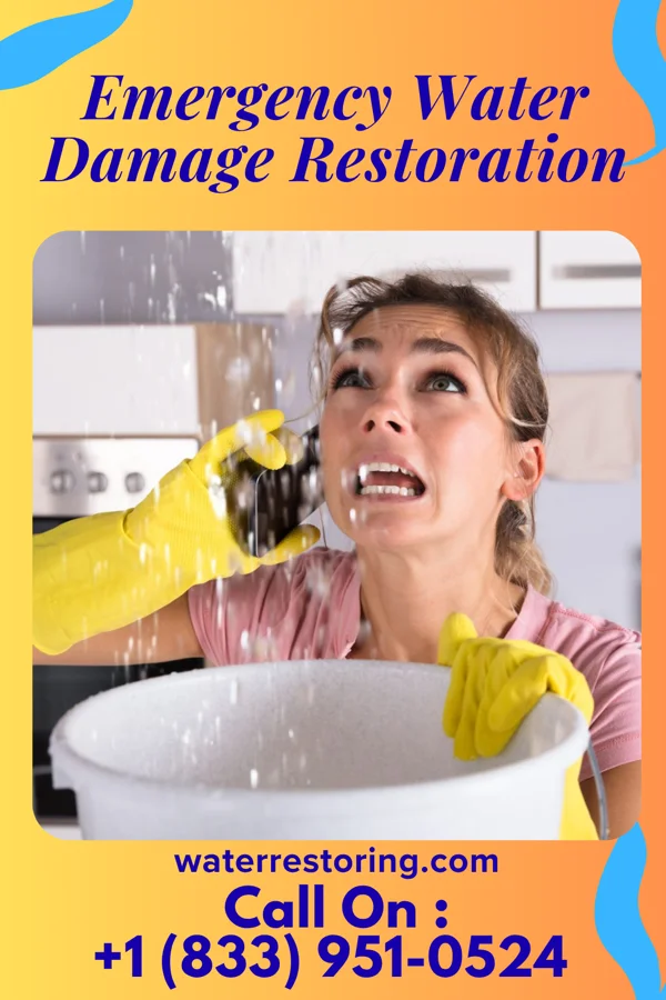 Emergency Water Damage Restoration in Cassville, WI